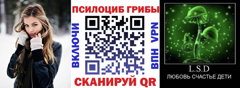 наркота  МЕГА как войти  Псилоцибиновые грибы MAGIC MUSHROOMS  Энем 